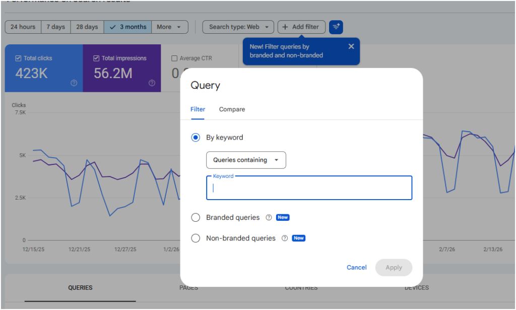 Google search console's branded queries filter tells you whether your seo is reaching new people Google search console screengrab